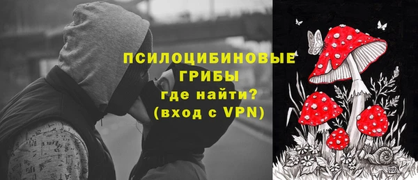 mdpv Краснослободск