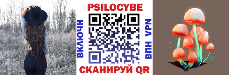 Купить где  Богородицк  Галлюциногенные грибы Cubensis 